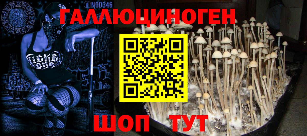 Псилоцибиновые грибы Magic Shrooms  Вход с VPN  Владикавказ 